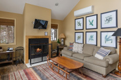 photograph of living room of guest home called cloud nine. fireplace is in the middle with a mounted tv above it. to the right is a couch, with a sled-based coffee table. there are six images on the wall of floral designs in black frames. to the left of the fireplace features a small table, and some fireplace equipment on the ground. 