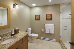 bathroom with granite sink counter top, tan walls, white toilet and walkin shower.