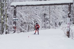 XC skier on wooded snow covered trail.