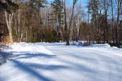 groomed cross country ski trail through woods.