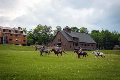 4 people riding horses along a meadow with a barn and wooden building in background during summer.