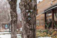 Old tree trunk with moss covered bark and a funny stone face. Brown wooden building in background at Mountain Top Inn & Resort in Chittenden, VT