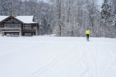 Cross country skier in yellow jacket in snowy field and trees near Mountain Top Inn & Resort in Chittenden, VT