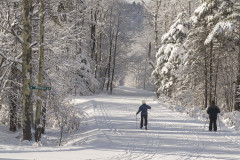 Two cross country skiers on snow path near snowy trees at Mountain Top Inn & Resort in Chittenden, VT