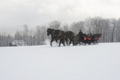 Horses towing sleigh with people in it in snowy field with trees in background at Mountain Top Inn & Resort in Chittenden, VT