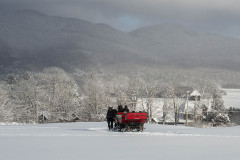 Mountain Top Resort horse drawn sleigh in snow.