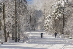 Mountain Top Resort cross country skier on snowy trail.