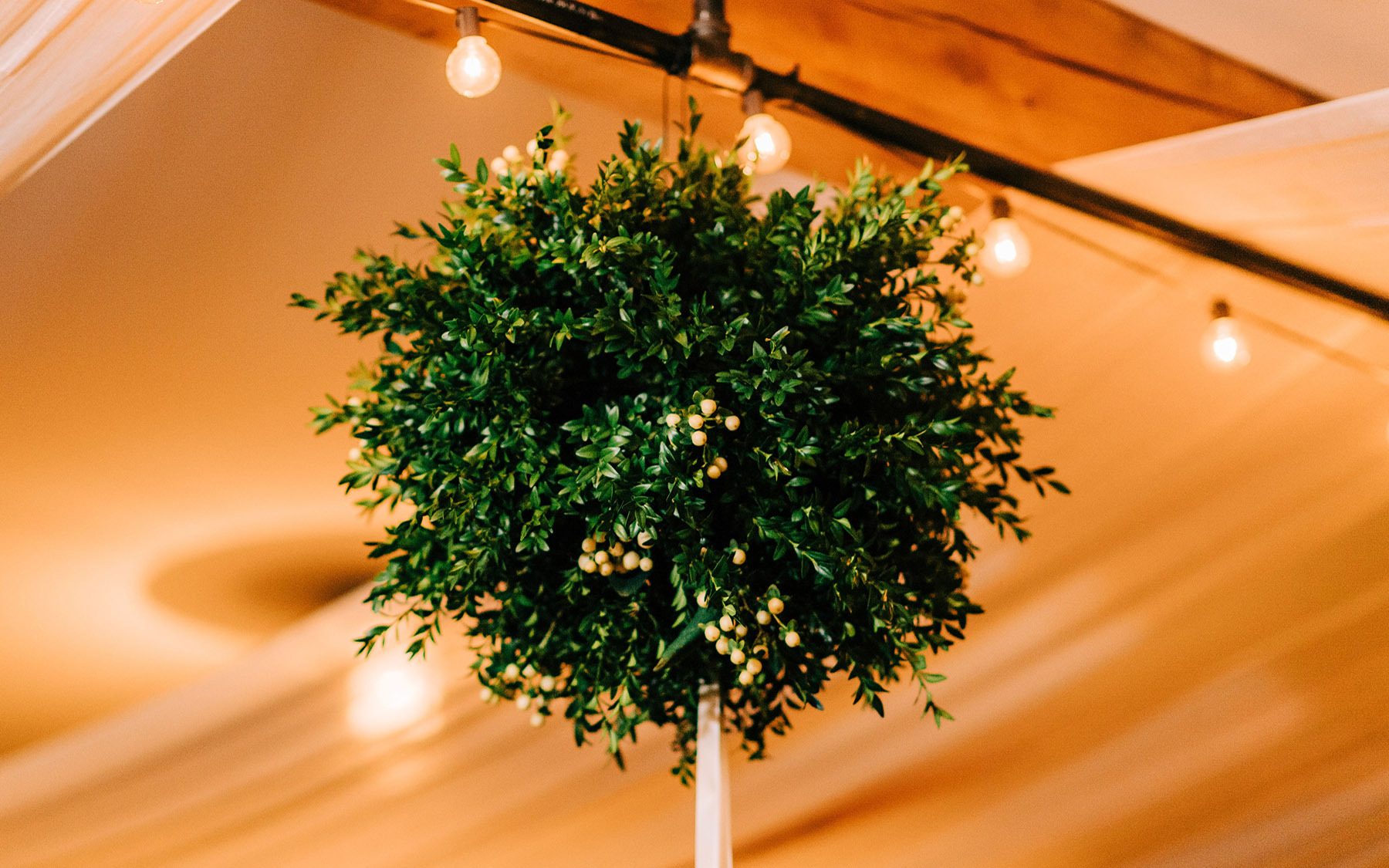 a  kissing ball made of greenery hanging from a celing.