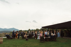 cocktail hour with terrace on the right and green mountains in the distance. large group of people gathered in front of camera in the midground.