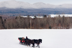 bride and groom sitting in sleigh with a driver on a horse drawn sleigh. background has trees, lake, and winter mountain.