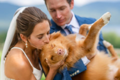 bride and groom holding dog and kissing dog's head in front of a green mountain landscape.