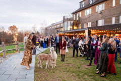 cocktail hour in the fall featuring guests throughout the photo with a guest holding two alpacas.