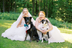 bride and bride with two dogs looking at camera