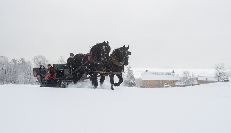 red sleigh with 2 passengers and driver traveling through snow led by 2 black Percheron horses. snow covered lodge and lake in background