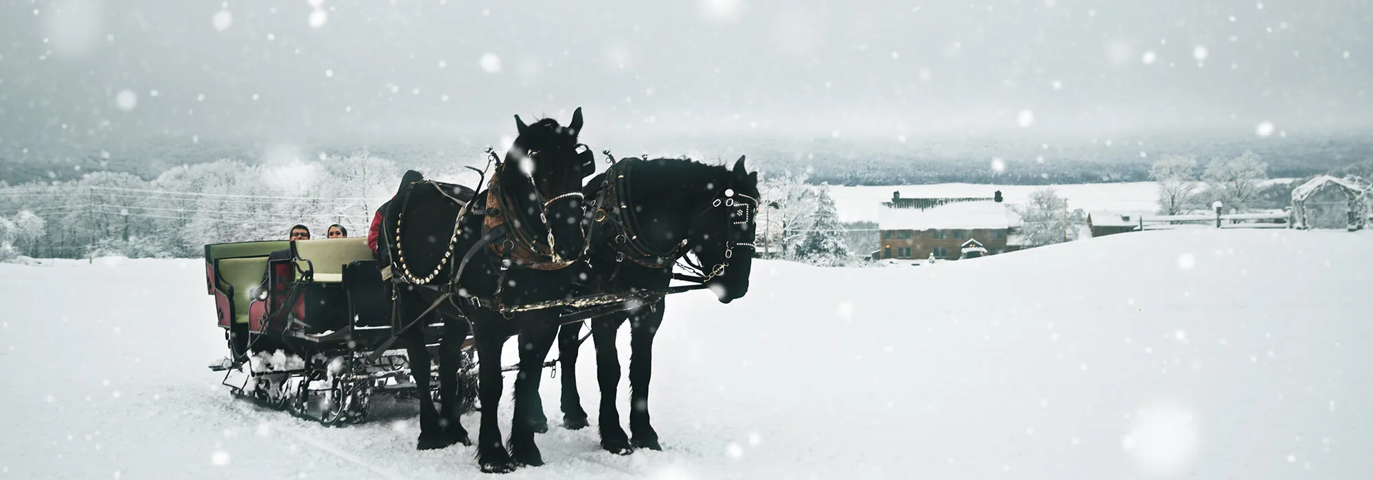 https://mountaintopinn.com/wp-content/uploads/2022/01/Mountain_Top_Resort_sleigh_LisPhotography_2kx1k-e1688395728242.jpg